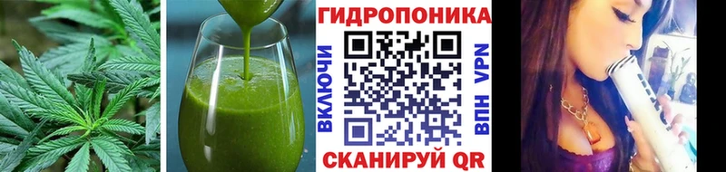 купить наркотики сайты  Котовск  Печенье с ТГК марихуана 