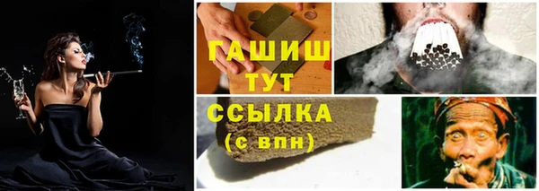 амф Новозыбков