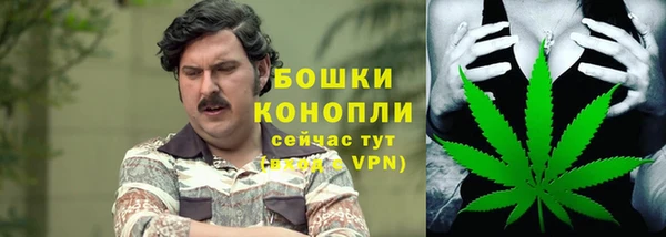 индика Нея