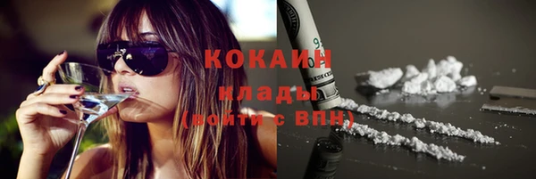 амф Новозыбков