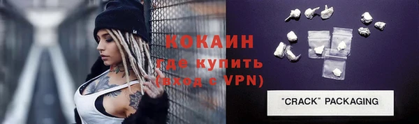 амф Новозыбков