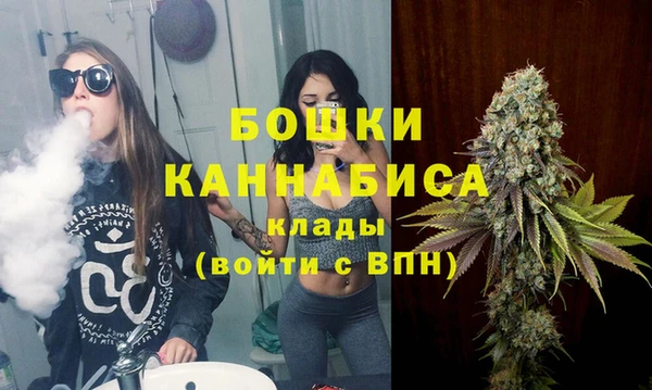 амф Новозыбков