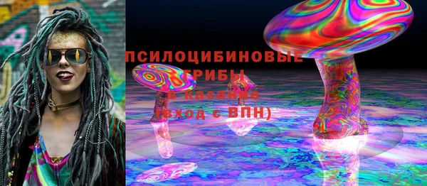 амф Новозыбков