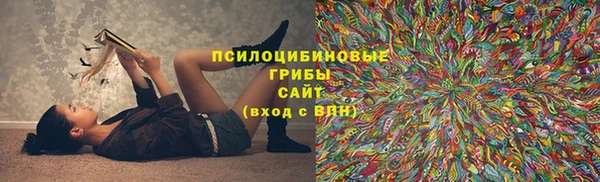Альфа ПВП Валдай