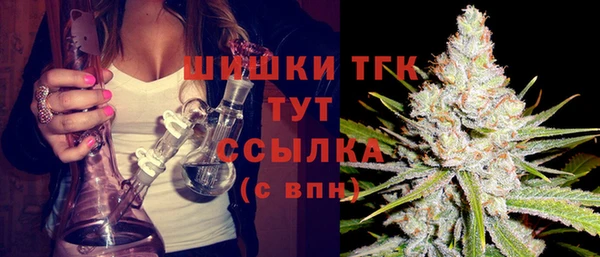 дмт Новодвинск