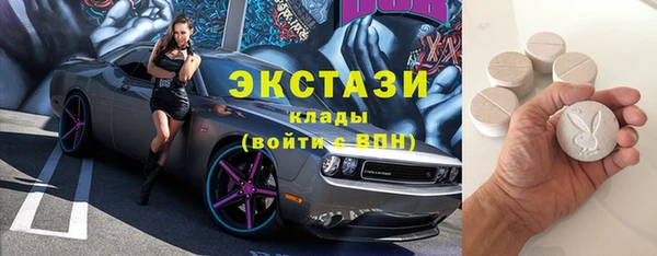 амф Новозыбков