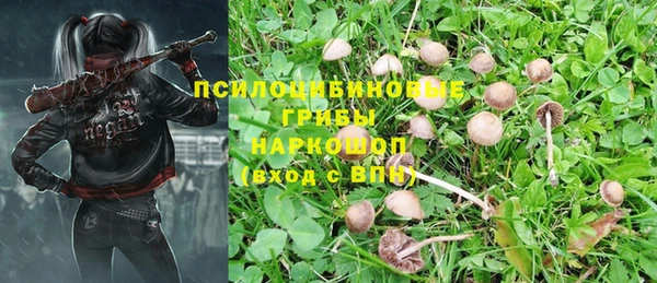 дмт Новодвинск