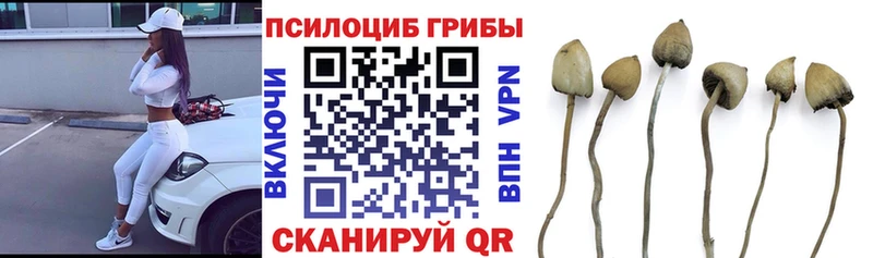 Галлюциногенные грибы Magic Shrooms дарнет шоп ОМГ ОМГ как зайти Котовск