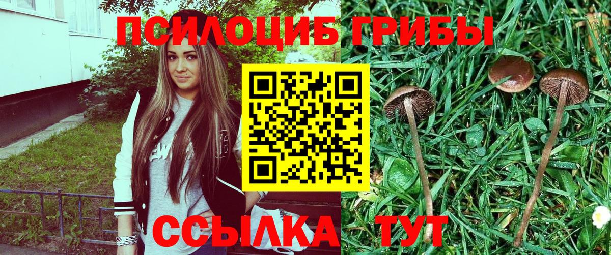 Галлюциногенные грибы MAGIC MUSHROOMS Котовск