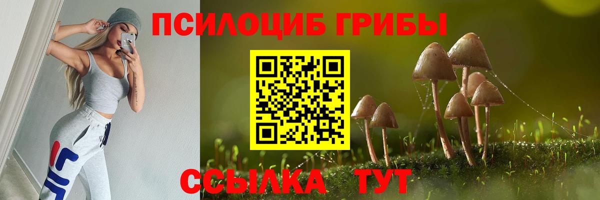 Галлюциногенные грибы Psilocybe  Вход с VPN  Котовск 